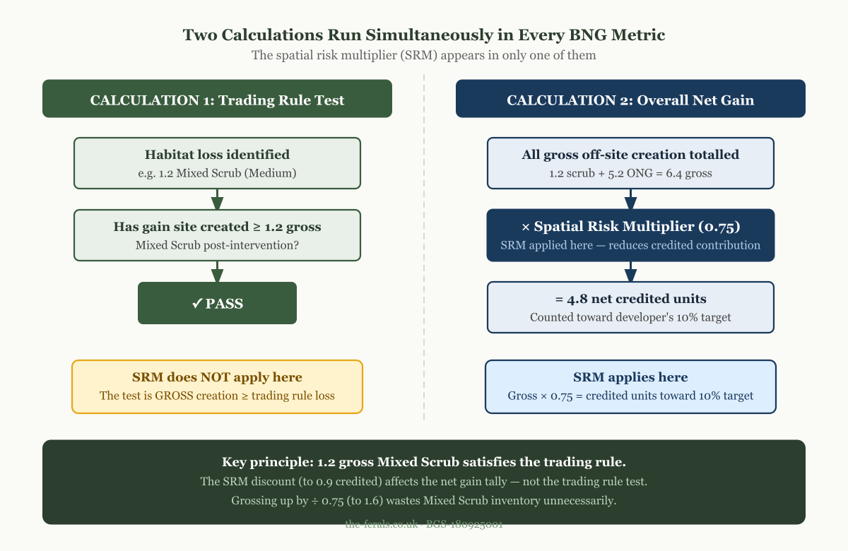 Diagram showing the two BNG calculations — trading rule test (no SRM) and overall net gain (SRM applies)
