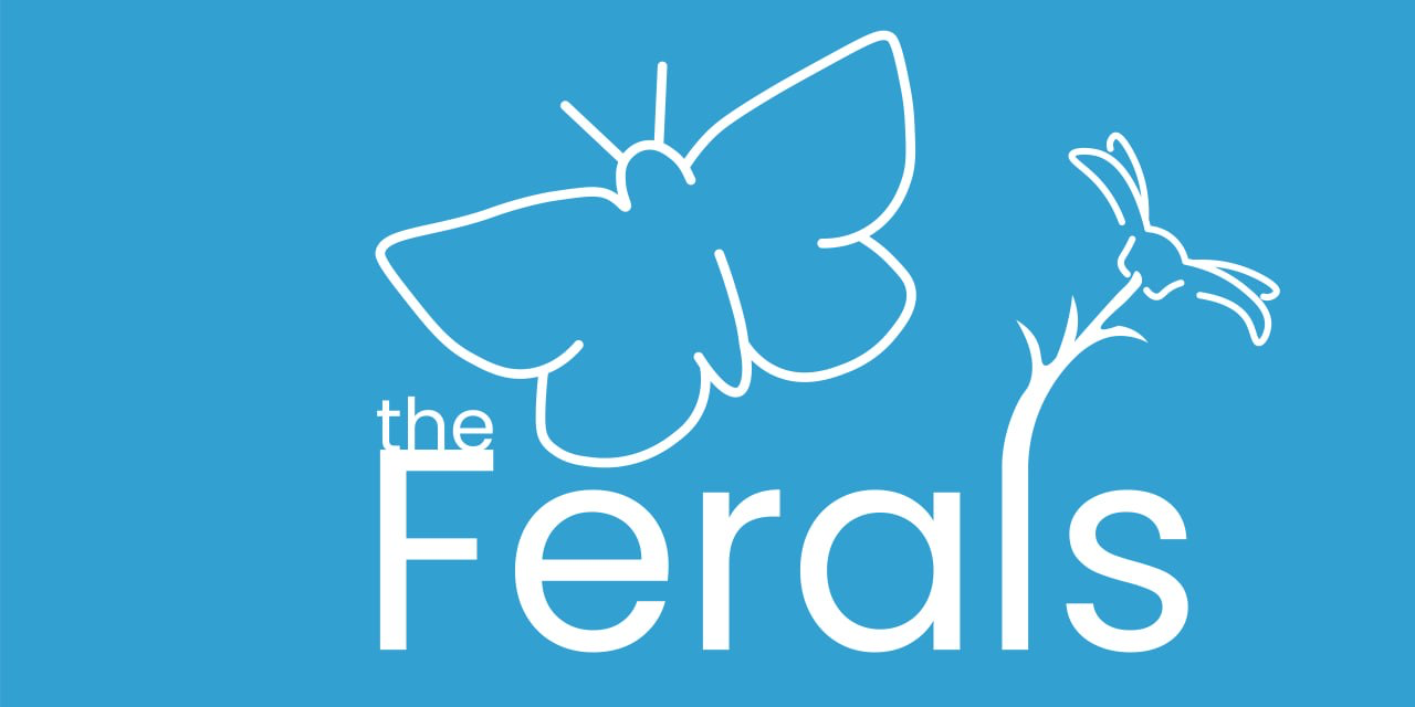 The Ferals
