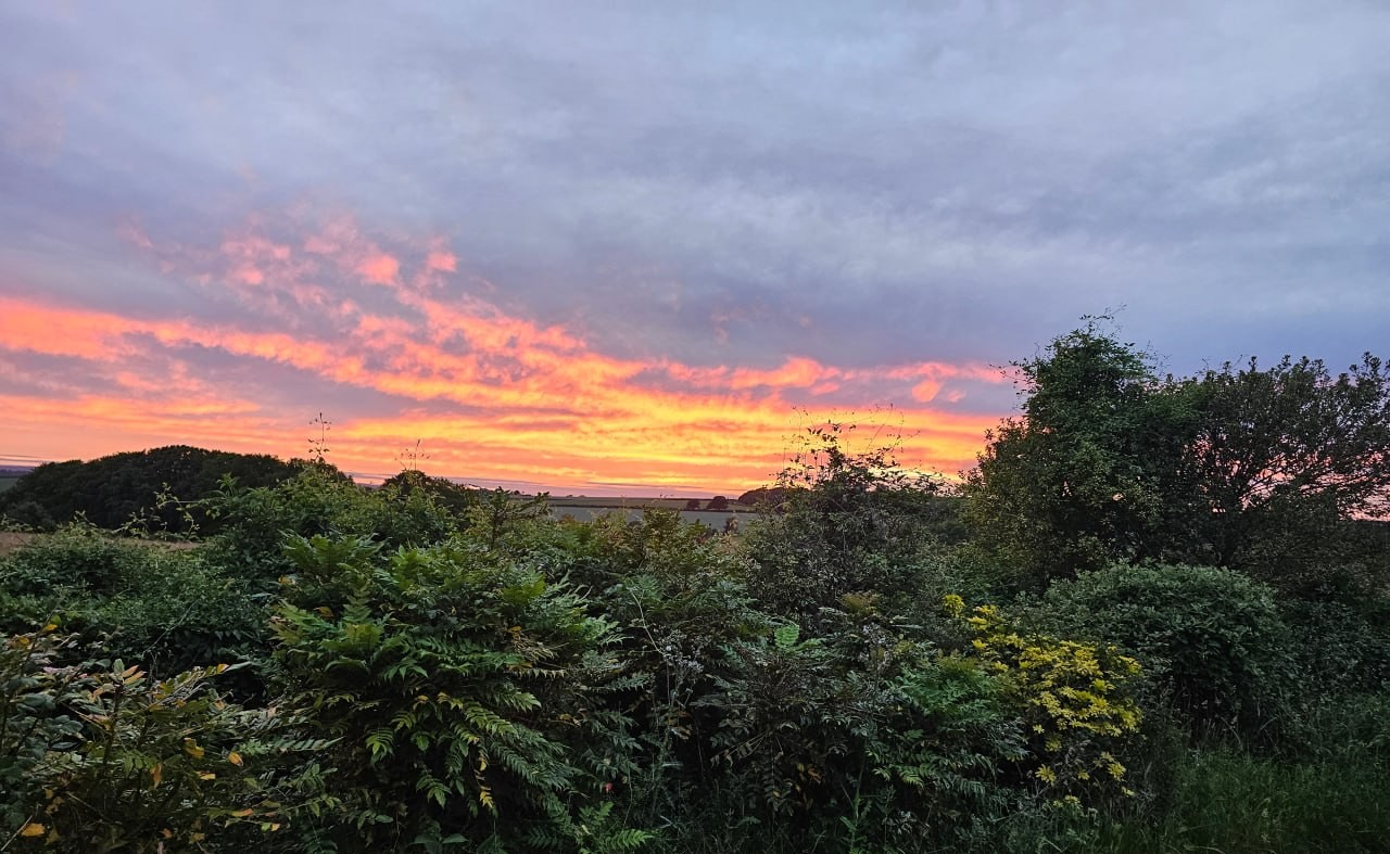 Sunset over hedgerow and farmland at The Ferals habitat bank in Dorset, near the Hampshire border